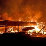 How the Mafia is weaponizing wildfires