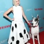 Look of the Week Naomi Watts is twinning with her canine co-star