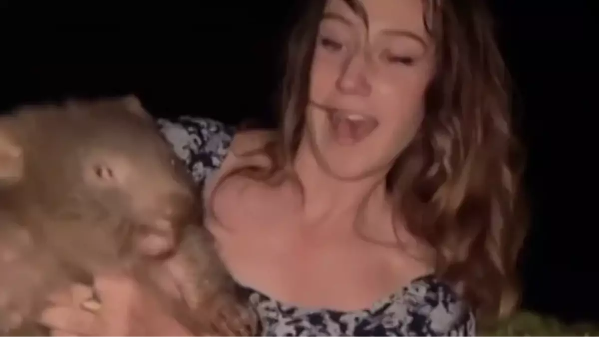 US tourist who sparked outrage picking up wombat says she was acting out of concern for the animal