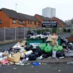 Rats ‘bigger than cats’ are roaming Britain’s second-biggest city as garbage collectors strike