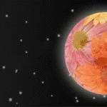 How to see May’s full flower moon