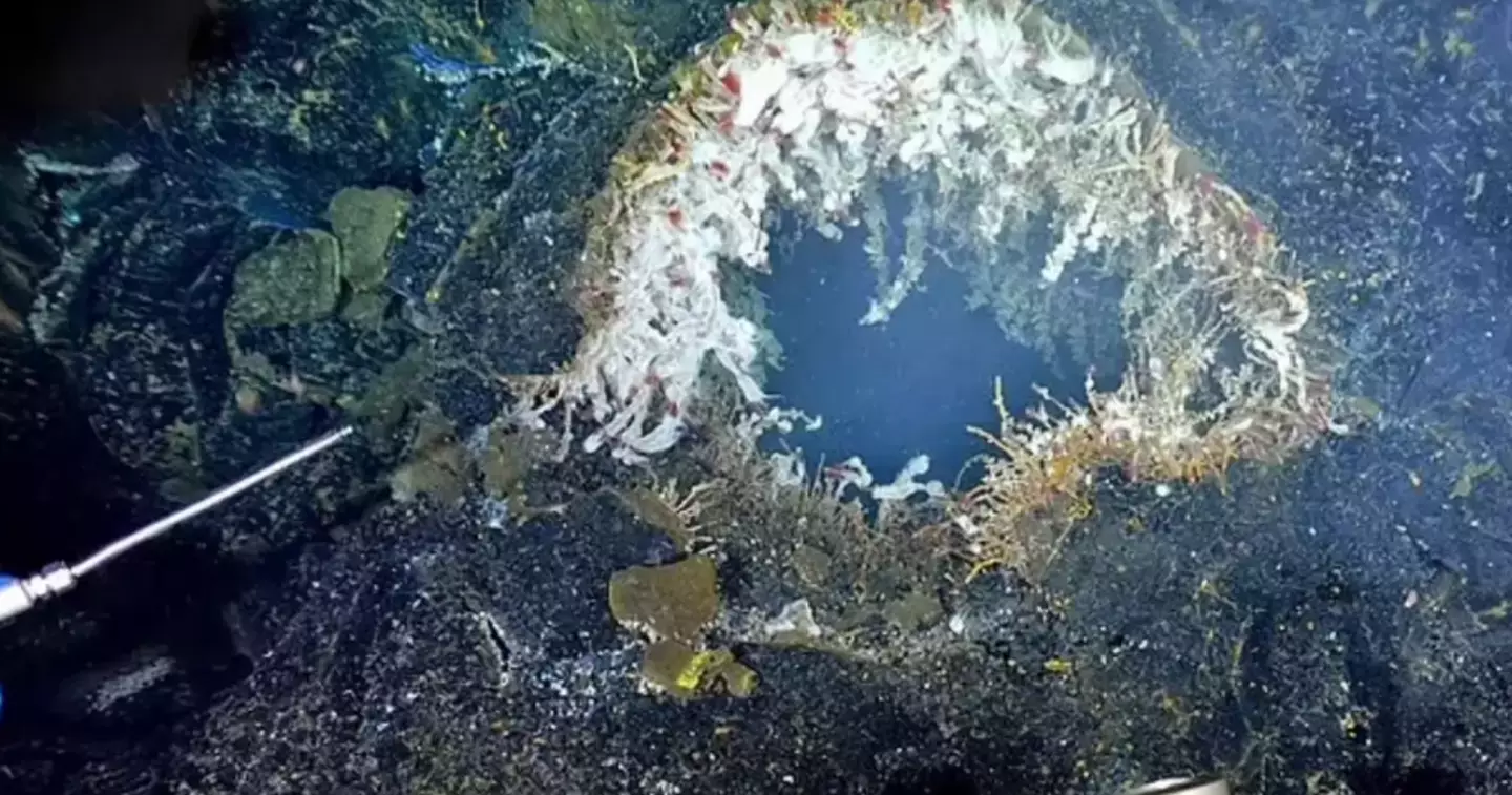 Mile-wide underwater volcano ready to erupt off the West Coast