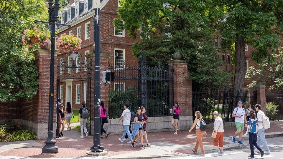 Trump’s diversity purge freezes hundreds of millions in medical research at universities across the country