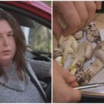 Death cap mushrooms killed three lunch guests. Was it murder or a ‘terrible accident’