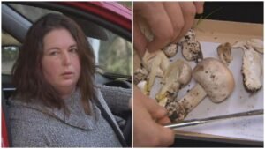 Death cap mushrooms killed three lunch guests. Was it murder or a ‘terrible accident’