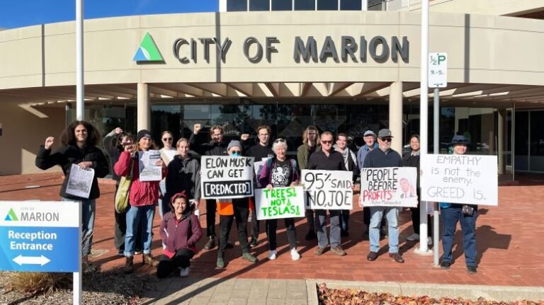 How a campaign to save trees in a small Australian city turned into a tirade against Elon Musk