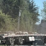 Millions of honeybees abuzz after truck overturns in Washington state