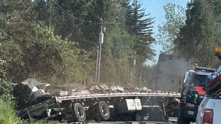 Millions of honeybees abuzz after truck overturns in Washington state