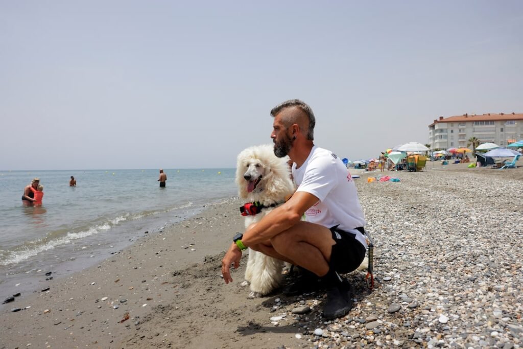 Poodle joins dog lifeguard team on Spanish beach