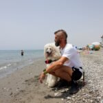 Poodle joins dog lifeguard team on Spanish beach