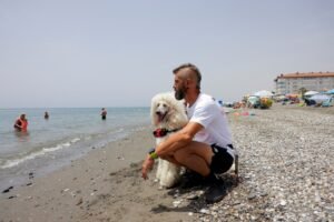 Poodle joins dog lifeguard team on Spanish beach