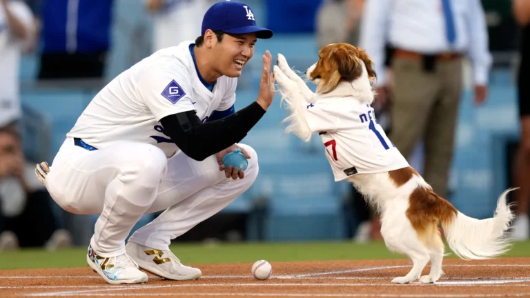 Ohtani’s next big hit? A children’s book about his dog Decoy